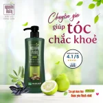 Dầu Gội Dược Liệu Nguyên Xuân Cho Tóc Hư Tổn 520g - Xanh Lá Đậm