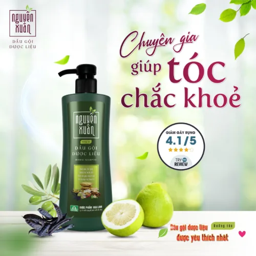 Dầu Gội Dược Liệu Nguyên Xuân Cho Tóc Hư Tổn 520g - Xanh Lá Đậm
