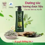 Dầu Gội Dược Liệu Nguyên Xuân Cho Tóc Hư Tổn 520g - Xanh Lá Đậm