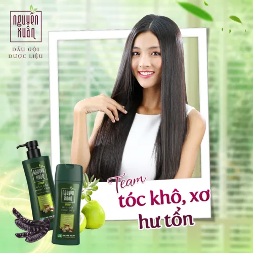 Dầu Gội Dược Liệu Nguyên Xuân Cho Tóc Hư Tổn 520g - Xanh Lá Đậm