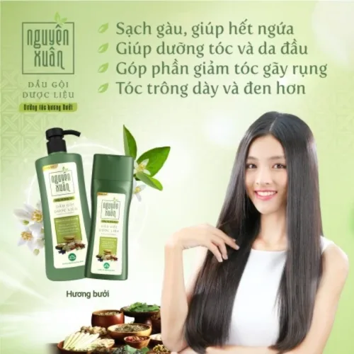 Dầu Gội Nguyên Xuân Dược Liệu Dưỡng Tóc Hương Bưởi 250ml - Xanh Lá Nhạt