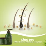 Dầu Gội Nhân Sâm SWhite Công Ty Shynh Beauty