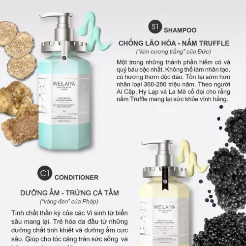Dầu gội xả phục hồi đa tầng nấm Truffle Weilaiya mang thành phần cao cấp và đắt đỏ bậc nhất