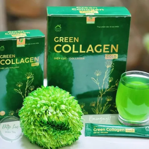 Diệp Lục Collagen Gold Hộp Lớn 30 Gói Green Family