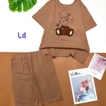 Đồ bộ quần lửng áo tay ngắn in hình gấu