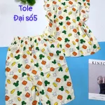 Đồ bộ vải tonl form lớn quần lững áo sát nách bèo