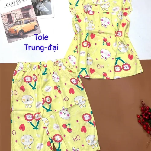 Đồ bộ vải tonl quần lửng áo sát nách bèo