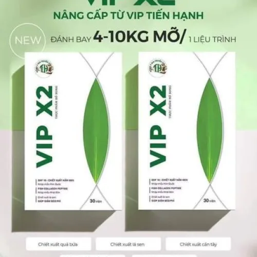 Giảm Cân Tiến Hạnh Vip X2