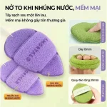 Hộp 3 Miếng Bông Mút Rửa Mặt Bọt Biển Amortals (Có Chữ)