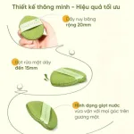 Hộp 3 Miếng Bông Mút Rửa Mặt Bọt Biển Amortals (Có Chữ)