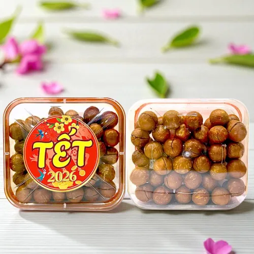 Hộp Hạt Macca Tây Nguyên Hộp Vuông Tròn 550G Hộp Quà Tết 2026