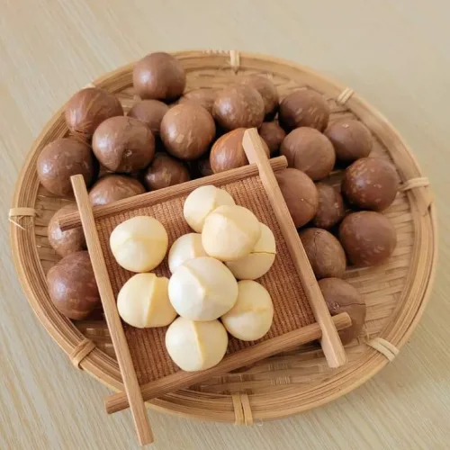 Hộp Hạt Macca Tây Nguyên Hộp Vuông Tròn 550G Hộp Quà Tết 2026