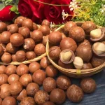 Hộp Hạt Macca Tây Nguyên Hộp Vuông Tròn 550G Hộp Quà Tết 2026