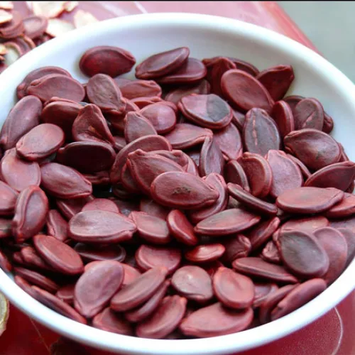 Hộp Quà Tết Hạt Dưa 400g - Hộp Sun Khía Hộp Quà Tết 2026