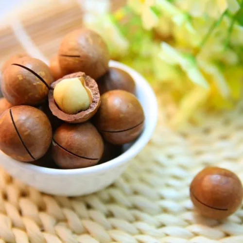 Hộp Quà Tết Hạt Macca Tây Nguyên 400g - Hộp Sun Khía Hộp Quà Tết 2026