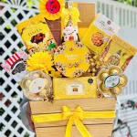 Hộp Quà Tết Rượu Bánh Kẹo - Quà Tặng Tết - Quà Trang Trí Tết - Giỏ Quà Tết