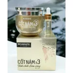 Kem Face Cốt Nám X3 Sica White Tinh Chất Sâm Vàng 30gr