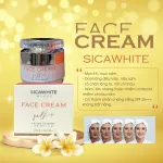 Kem Face Lụa Dưỡng Trắng Da Sica White