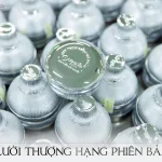 Kem Face Lười Queenie Skin Phiên Bản Thượng Hạng 2024 Giảm Thâm Nám