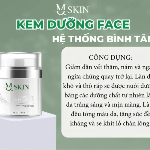Kem Face Nhân Sâm MQ Skin tự tin với làn da không tuổi