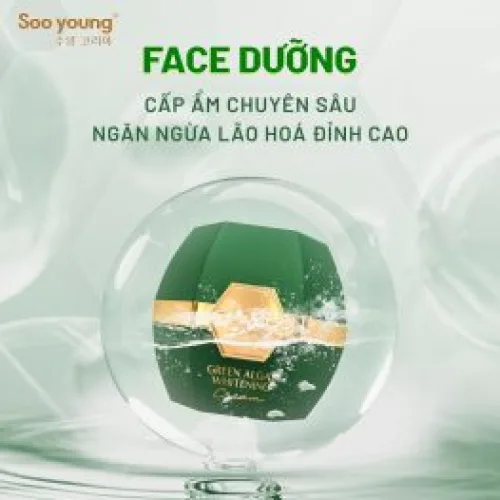 Kem Face Xanh Dưỡng Trắng Lục Tảo Soo Young – Green Algae Whitening