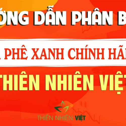 LÀM THẾ NÀO ĐỂ PHÂN BIỆT CÀ PHÊ XANH CHÍNH HÃNG?