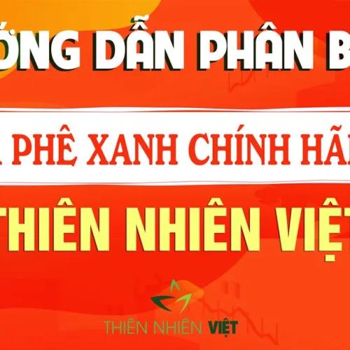 LÀM THẾ NÀO ĐỂ PHÂN BIỆT CÀ PHÊ XANH CHÍNH HÃNG?