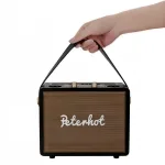 Loa Bluetooth Không Dây Peterhot Kèm 2 Mic Karaoke