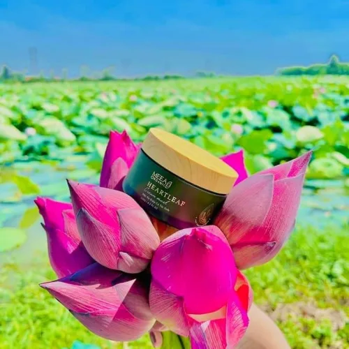 Mask diếp cá Meea Organic hot nhất thị trường