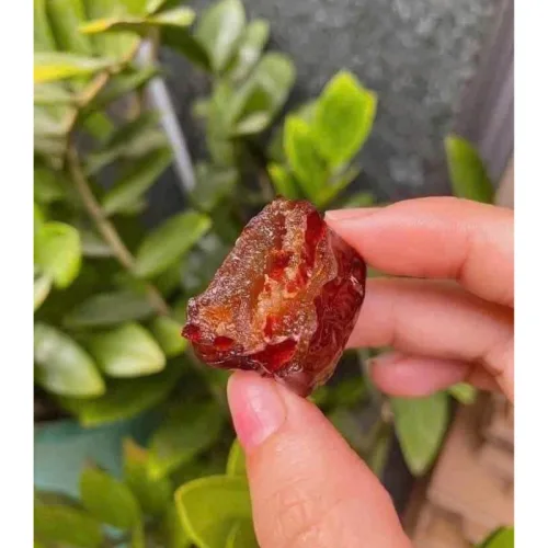 Táo Sấy Dẻo Không Hạt Thơm Ngon Hộp 500g