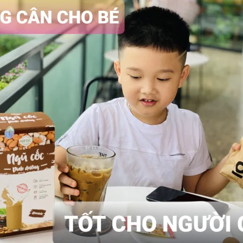 Ngũ cốc dinh dưỡng NAMISO – tăng cân cho bé, tốt cho người gầy