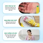 Nước Rửa Chén Top Gia Hương Gừng Tươi 1kg/Chai