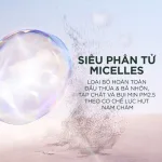 Nước Tẩy Trang Garnier Nắp Xanh Micellar Cleansing Water Salicylic BHA Dành Cho Da Dầu Mụn 400ml