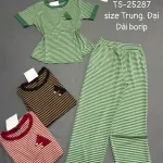 Đồ bộ nữ tay ngắn quần dài TS-25287