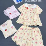 Đồ bộ nữ tay ngắn quần đùi chất cotton hàn không giãn HT-95210