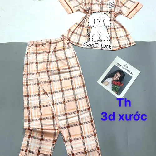 Đồ bộ pijama quần dài áo tay ngắn in nhiều hình