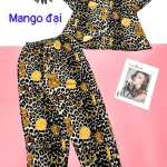Đồ bộ  quần dài mango pijama có túi trước nhiều hình khác nhau