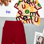 Đồ bộ quần lửng màu trơn áo tay ngắn in nhiều chữ