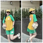 Đồ bộ thun cotton quần đùi áo tay ngắn in hình mèo kitty
