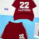 Đồ bộ thun nữ quần đùi 2 sọc in số 22