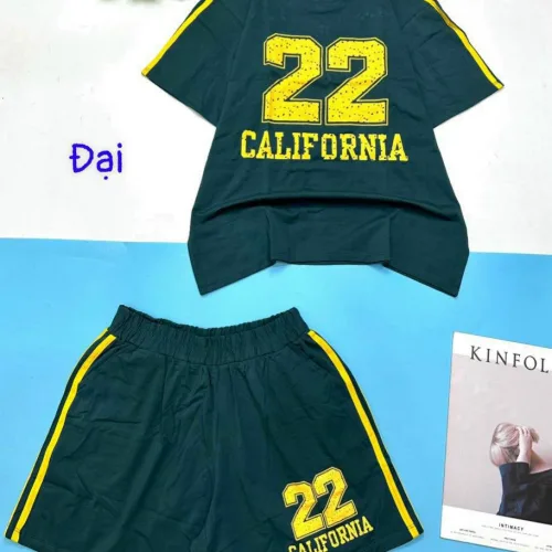 Đồ bộ thun nữ quần đùi 2 sọc in số 22