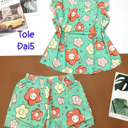 Đồ bộ vải tole số 5 quần đùi áo sát nách bèo
