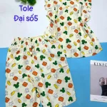 Đồ bộ vải tole số 5 quần lửng áo sát nách bèo nhiều hoạ tiết và thú