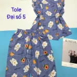 Đồ bộ vải tole số 5 quần lửng áo sát nách bèo nhiều hoạ tiết và thú