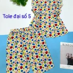 Đồ bộ vải tole số 5 quần lửng áo sát nách bèo nhiều hoạ tiết và thú