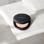 Phấn Phủ Maybelline New York Fit Me Oil Control Powder SPF32 PA+++