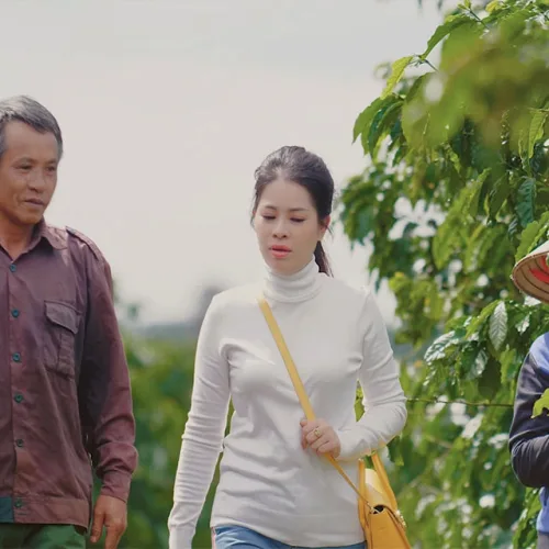 Quá trình sản xuất khép kín của Cà Phê Xanh