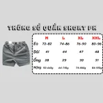 Quần Short Lưng Thun Nam Chất Liệu Lụa Chống Ngăn Dày Dặn Mặc Mát (Size Từ 50-85kg)