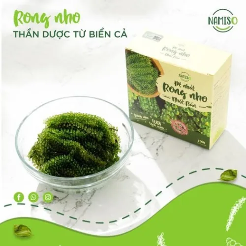 Rong nho namiso – lựa chọn số 1 cho cả gia đình bạn mùa hè