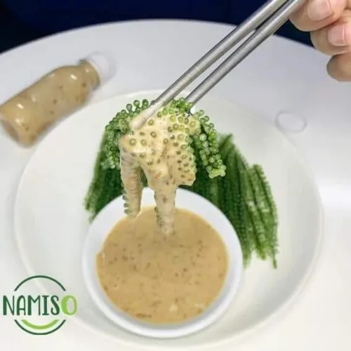 RONG NHO NAMISO – Món ăn nhất định phải thử ít nhất một lần trong đời